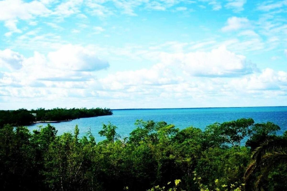 בליז סיטי See Belize Waterside Sea View Apartment With Infinity Pool & Overwater Deck מראה חיצוני תמונה